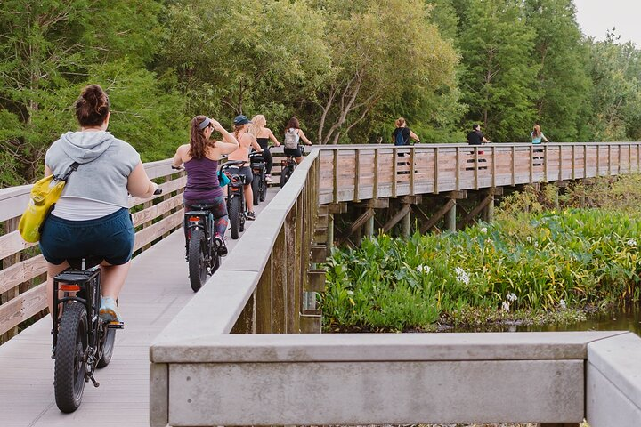 Safety Harbor Hidden Trails Guided E-Bike Adventure with Dessert - Photo 1 of 6
